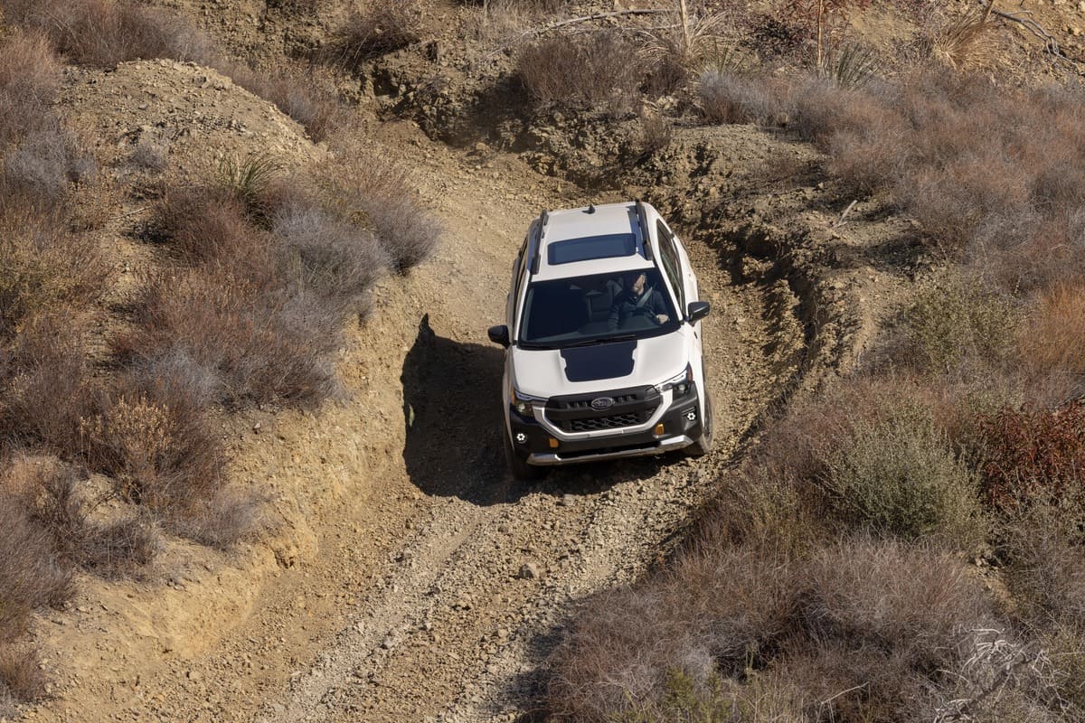 Subaru Forester Wilderness